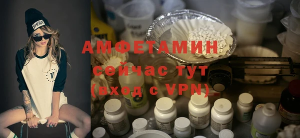 сатива Армянск