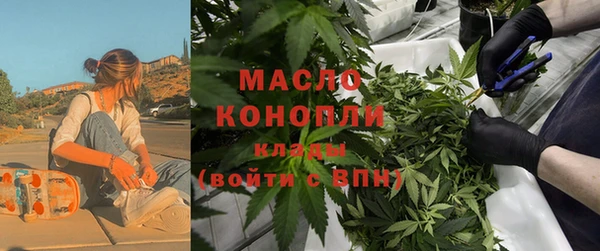 сатива Армянск