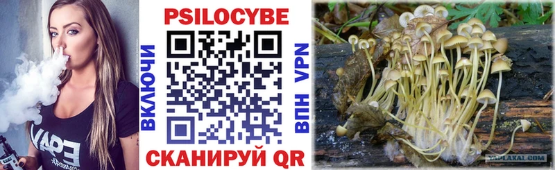 Галлюциногенные грибы Magic Shrooms  закладки  Ртищево 